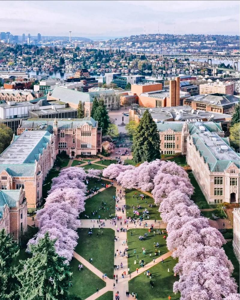 南卫理公会大学